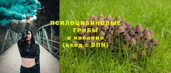 альфа пвп Белокуриха