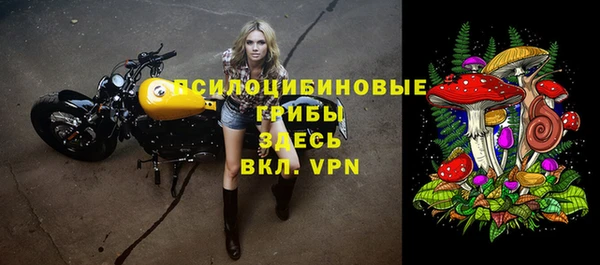 тгк Беломорск