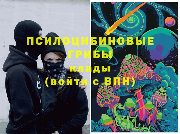 дживик Струнино