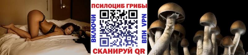 Галлюциногенные грибы прущие грибы Городовиковск