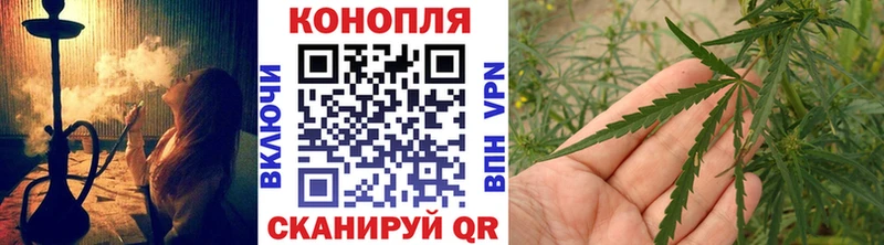 Бошки Шишки ГИДРОПОН наркота Городовиковск